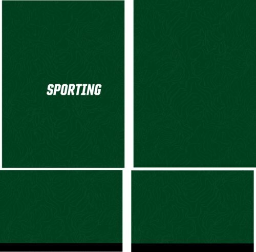 arte vetor camisa esporte